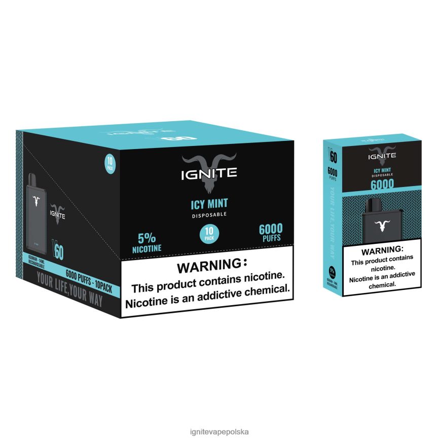 Ignite Vape Flavours | IGNITE V60 vape pen 10 szt lodowa mięta 0648NZ20